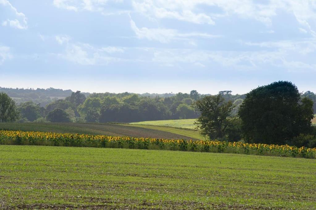 The Stables, Relax In 5 Star Style And Comfort With Lovely Walks All Around Great Maplestead Bagian luar foto